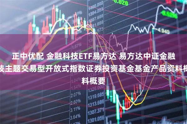 正中优配 金融科技ETF易方达 易方达中证金融科技主题交易型开放式指数证券投资基金基金产品资料概要