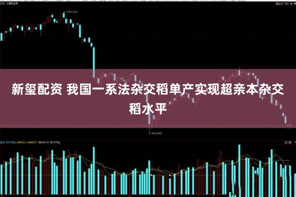 新玺配资 我国一系法杂交稻单产实现超亲本杂交稻水平