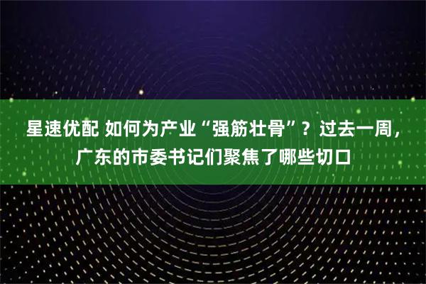 星速优配 如何为产业“强筋壮骨”？过去一周，广东的市委书记们聚焦了哪些切口