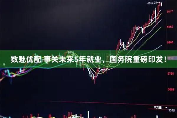 数魅优配 事关未来5年就业，国务院重磅印发！