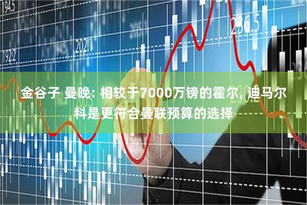 金谷子 曼晚: 相较于7000万镑的霍尔, 迪马尔科是更符合曼联预算的选择